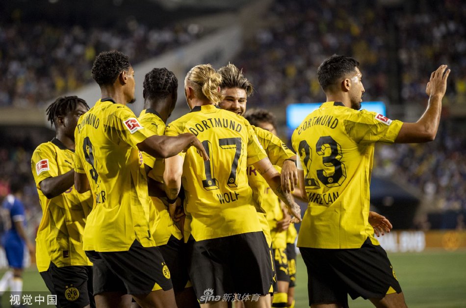 他帮助国际 他帮助国际